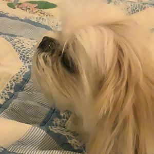 Meet your Posher, Barbara